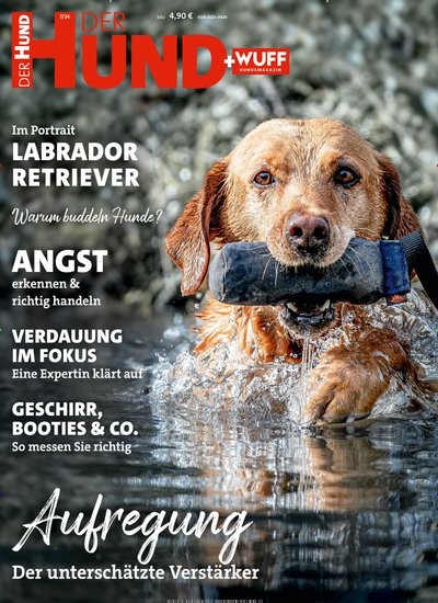 DER HUND Cover