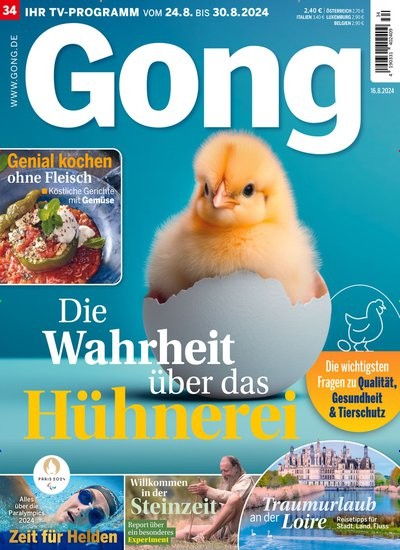 Gong Cover