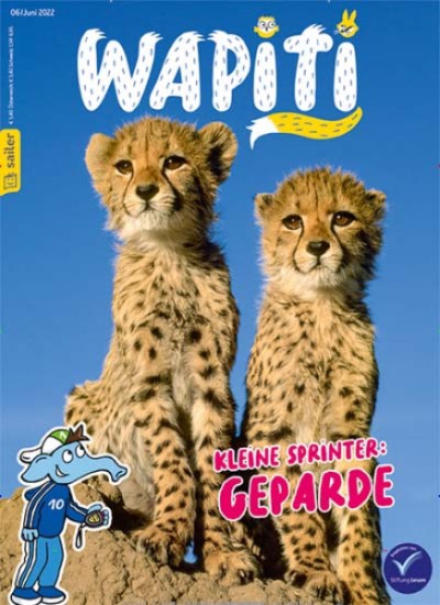 Wapiti Cover